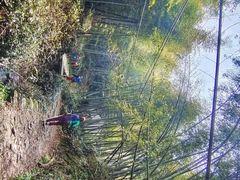 -会稽山峡洞漂流-上青古道