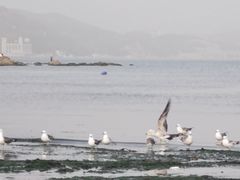 -黑石礁公园