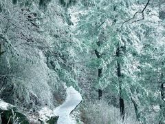 -洛阳白云山景区