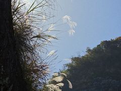 -崀山风景名胜区