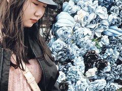 -上海鲜花港