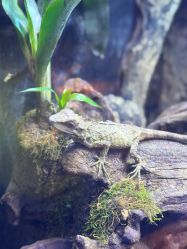 -酷嗒动物文化乐园(cutezoo西溪乐天城店)