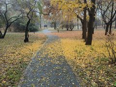 -国家植物园南园