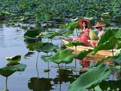 -洪湖生态旅游区