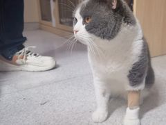 -谐和贝康宠物医院24小时·宠保定点(急重症转诊中心)