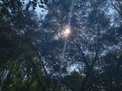 -长白岛森林公园