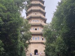 -灵谷景区