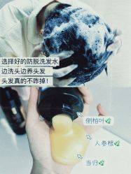 -Bollins波林丝•专研护发中心