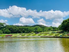 -东莞植物园