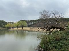 -上海方塔园