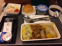 -新加坡航空公司(ION)