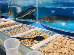-深海800米海鲜自助(万达广场店)