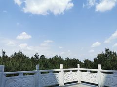 -铁山坪森林公园