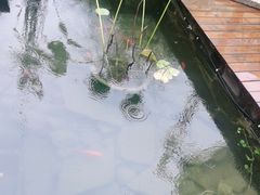 -墨居上隐·院子里火锅(峨眉店)