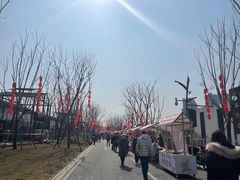 -三圣花乡旅游区