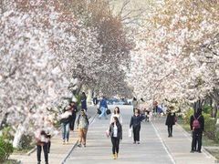 -山东师范大学(千佛山校区)