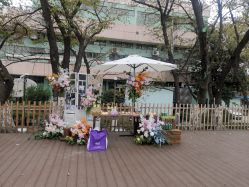 -晴川假日酒店·宴会厅·会议厅