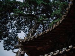 -报恩寺(平武县)