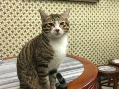-公利真料竹蔗水(中环店)