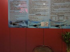 -河北云瑧世纪大饭店游泳馆
