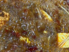 -金鼎雪山牦牛杂火锅(理县总店)