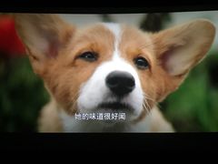 -百丽宫影城(CGS激光苏宁广场店)