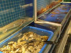 水产区-甄品麦哲伦海鲜和牛自助(万达广场店)