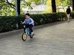 -荔湾湖公园
