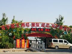 -西瓜小镇