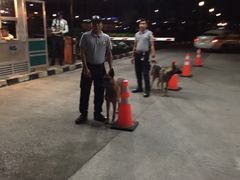 -马尼拉酒店