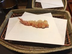 日本车虾-みかわ是山居