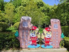 -上海佘山国家森林公园天马山园