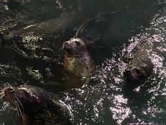 -华夏文旅海洋公园