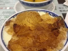 桃胶双皮奶-仁信老铺(华盖路店)
