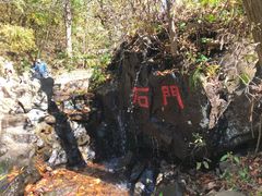 -天女山森林公园