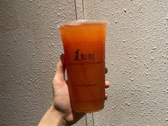葡萄柚绿-1点点(晒布店)