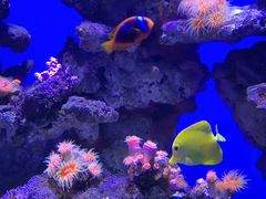 -烟台海昌鲸鲨海洋公园