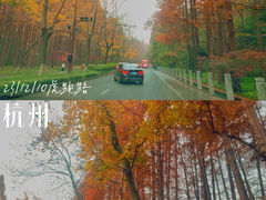 -虎跑公园
