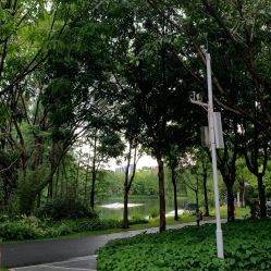 -广州市儿童公园