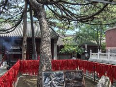 -红螺寺