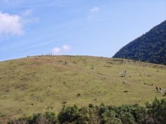 -大姆山草场