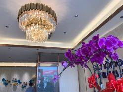 -诗媛嘉美健康管理中心(金桥店)