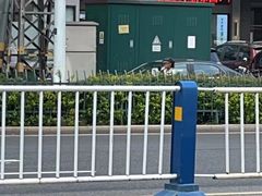 -田三卷馍(火车站店)