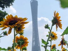 -海心沙亚运公园
