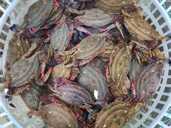 -东戴河风景区-止锚湾