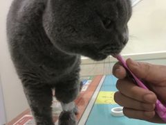-子乐宠物医院