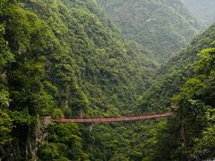 -旗山国家森林公园