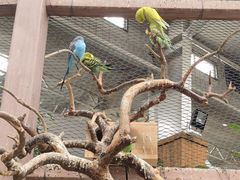 -南宫五洲植物乐园