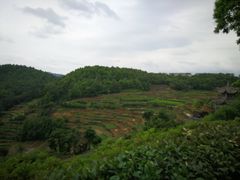 -乌石村