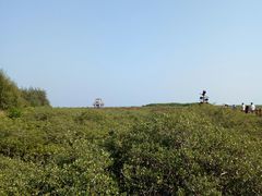 -北海金海湾红树林生态旅游区